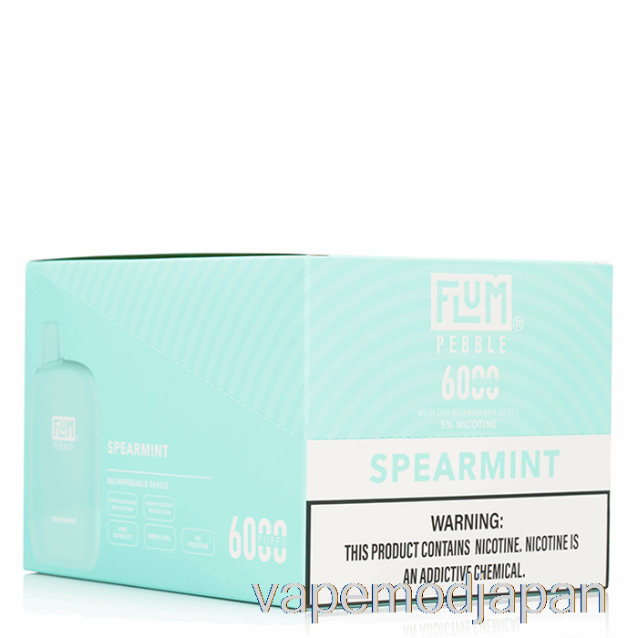 Vape Japan 【10個セット】flum Pebble 6000 使い捨て